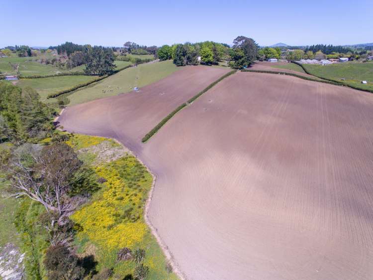 33 Berkers Road Ngahinapouri_17