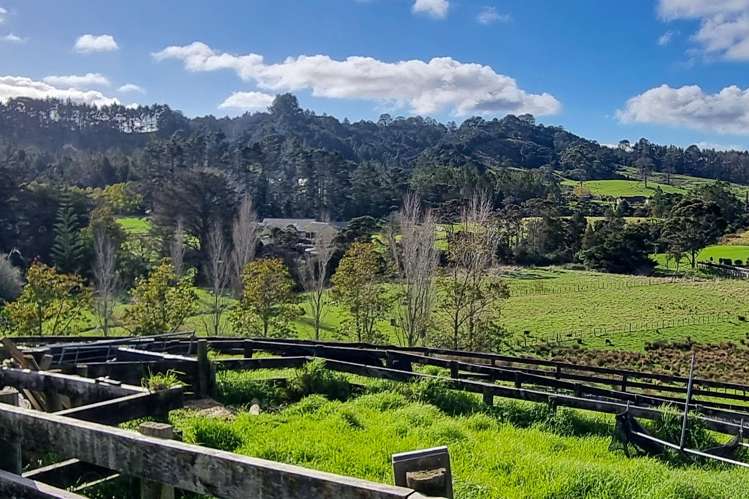 384 Pine Valley Road Dairy Flat_41