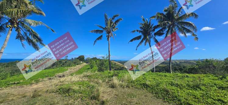 Address withheld Sigatoka_26