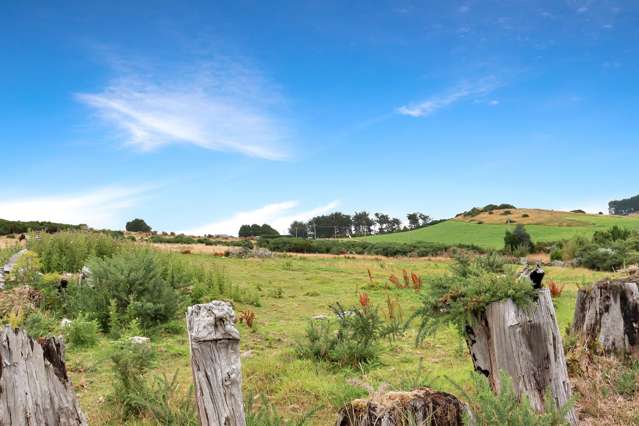 47 Castle Street Riverton_3