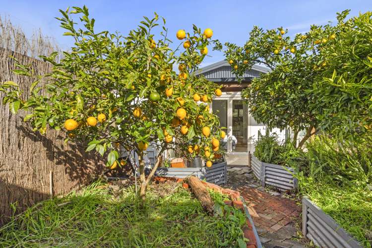 23 Government Road Raglan_23