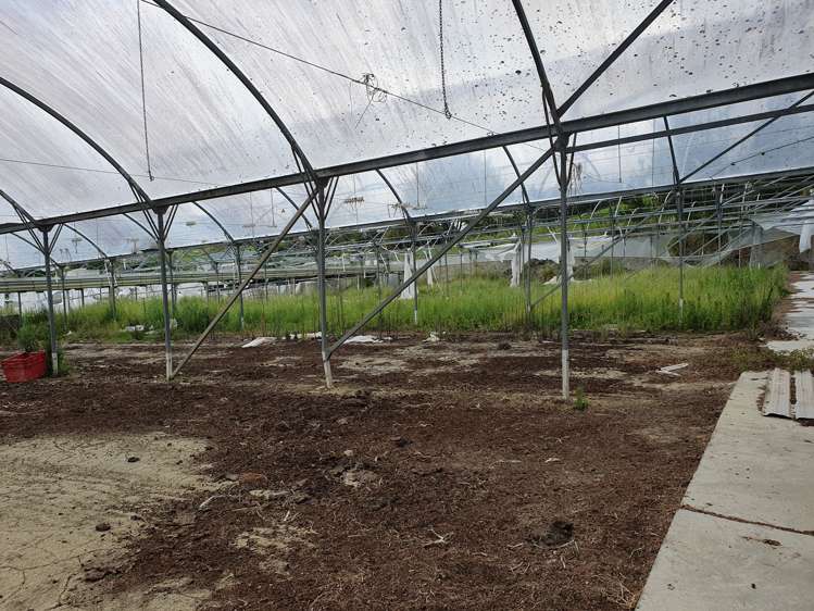 1190b Wharehine Road Port Albert_6