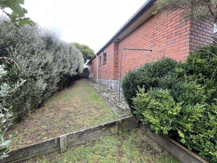 5 Catlins Glen Aotea_23