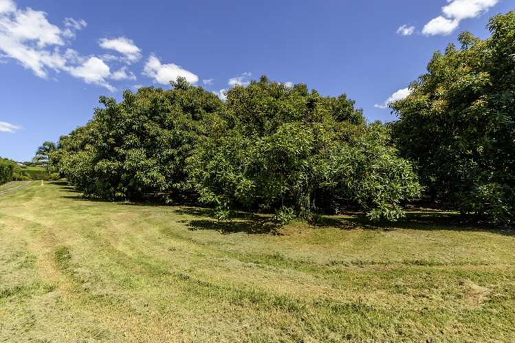 89b Snodgrass Road Te Puna_26