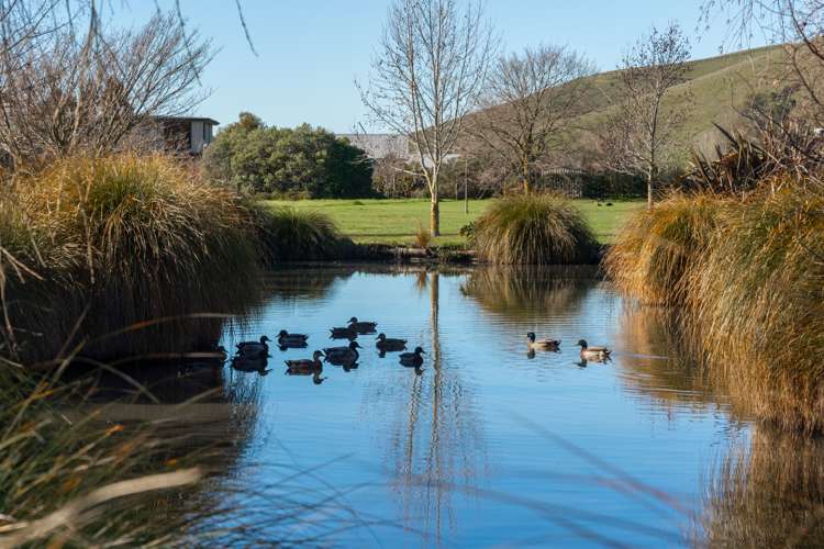 113 Dry Hills Lane Riverlands_31