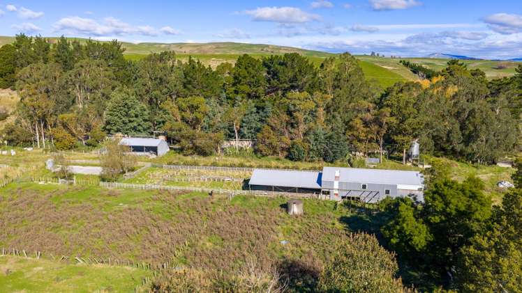 254 Wilder Road Porangahau_14