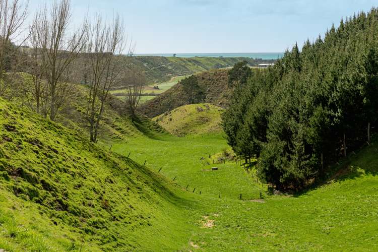 461 Otamarakau Valley Road Pukehina_16