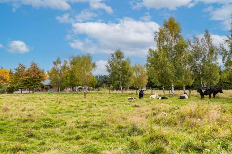 149 Loburn Whiterock Road Loburn_19