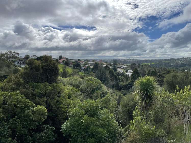 15/41 Waipa Street Birkenhead_11