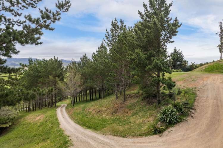 Lot 1/356 Trig Road Waihi_5