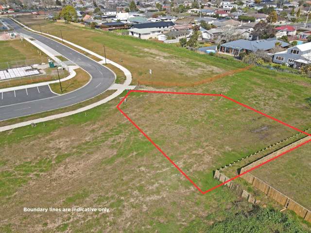 41 Hoki Avenue Morrinsville_2