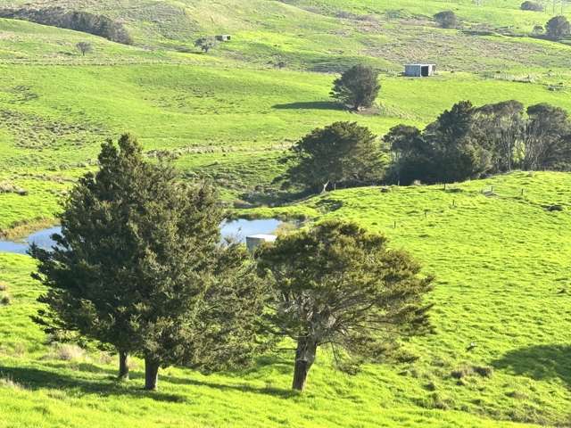 Hill Road Maungaturoto_2