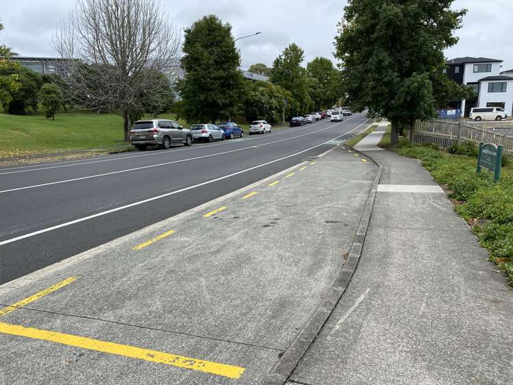 389 Rosedale Road Albany_13