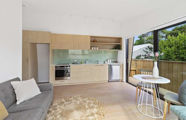 46B Camperdown Road Miramar_3