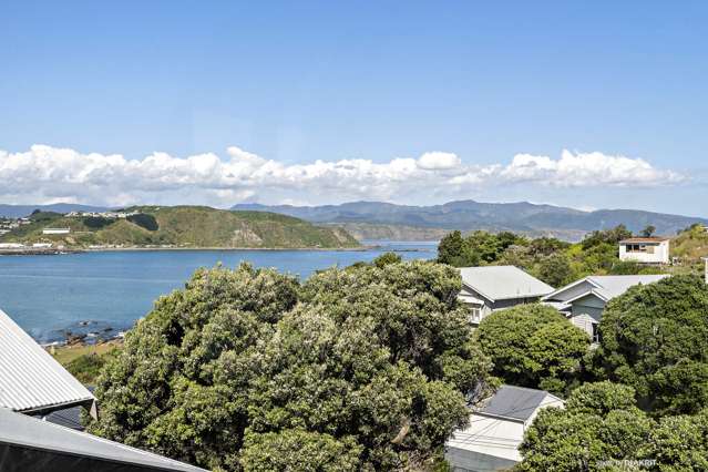 12 Hungerford Road Lyall Bay_1