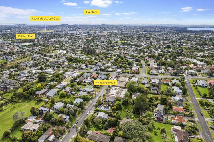 47 Evans Road Glen Eden_23