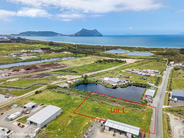 Industrial Land - Lot 1 Innovate Rd Ruakaka