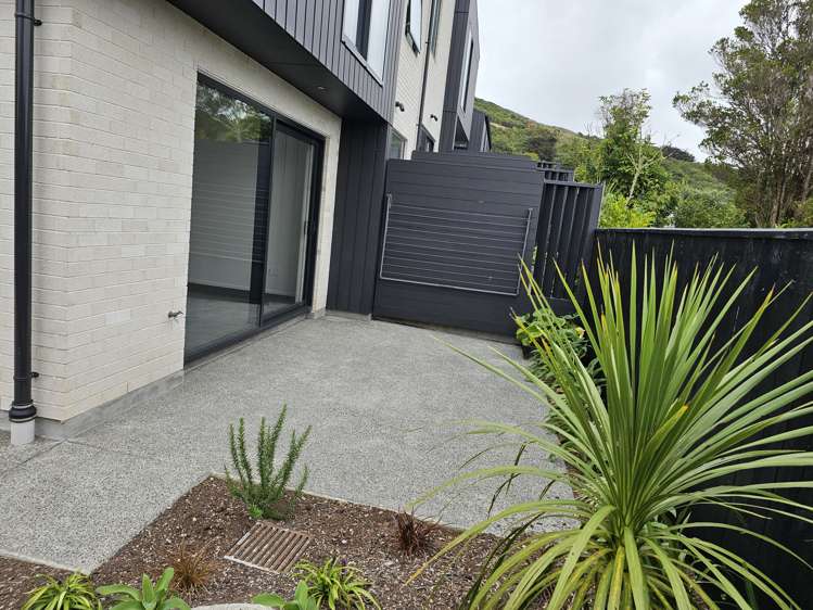 15 Ara Toutouwai Karori_8