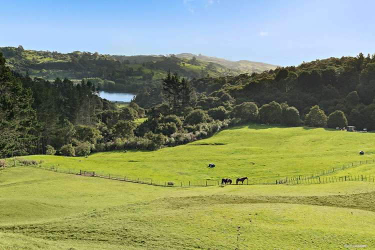 24 Roberts Road Tuakau_17