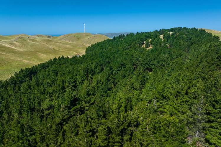 363 Caseys Road Blind River_19