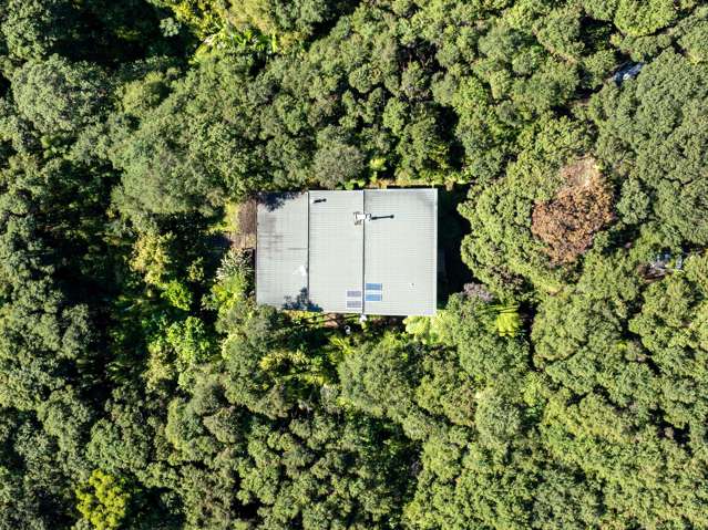 300 King Road Mangawhai_3