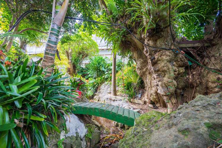 3 Taurikura Street Whangarei Heads_47