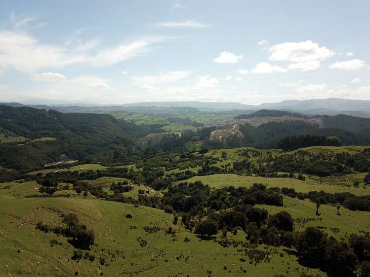 1050 Ellis Wallace Road Eskdale_8