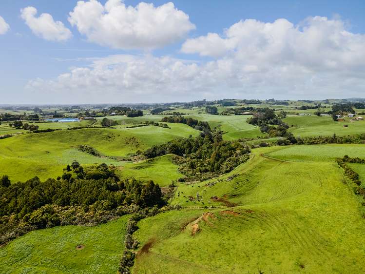 629 South Road Omata_19