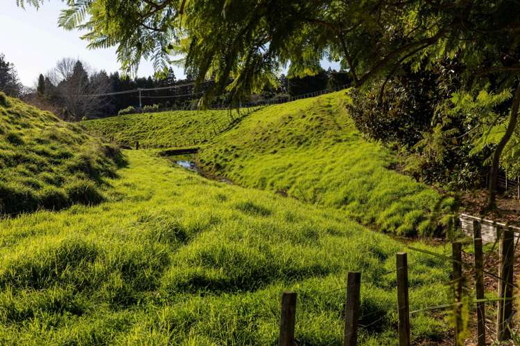 38 Youngson Road Whakamarama_19