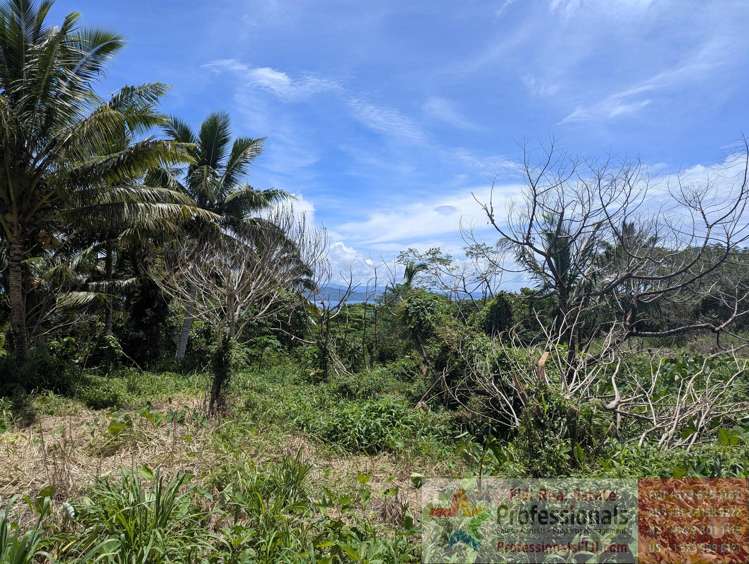 Address withheld Taveuni_9