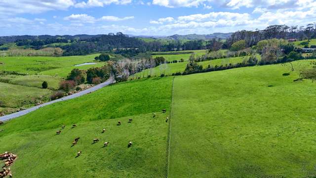 123 Whakapirau Road Wellsford_2