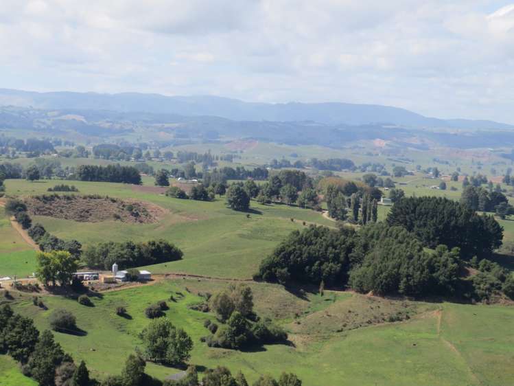Waitomo Valley Road Otorohanga_16