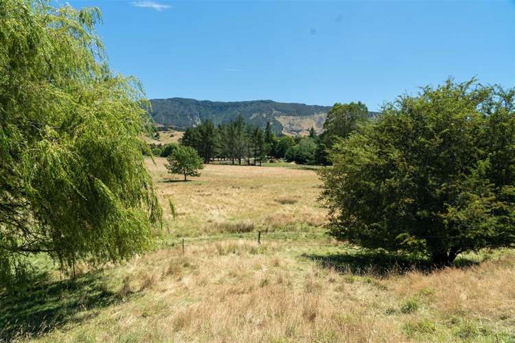 Tadmor-Bushend Road Tapawera_2