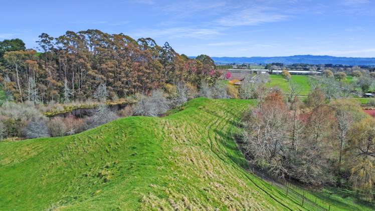 114 Otumahi Lane Whakatane_9