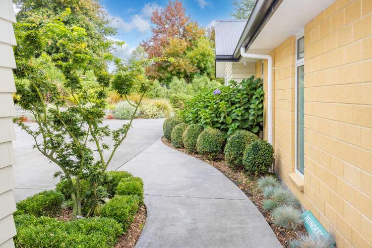 920a Bond Road Te Awamutu_5