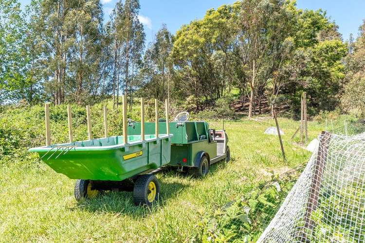 253A Kokotau Road Kokotau_49