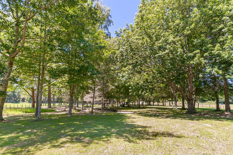 1971 Moutere Highway Upper Moutere_19