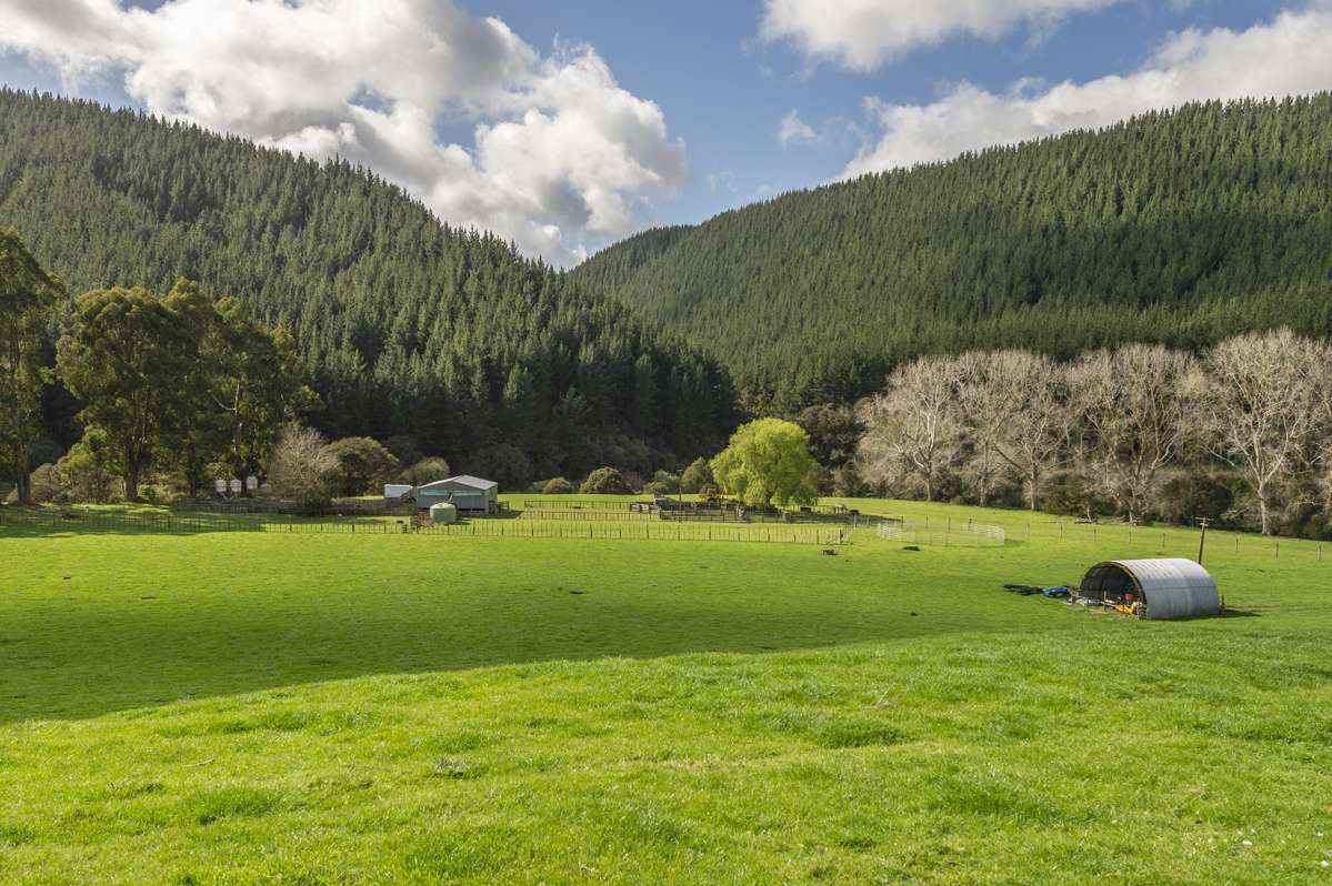 1471 Mangamahu Road_5