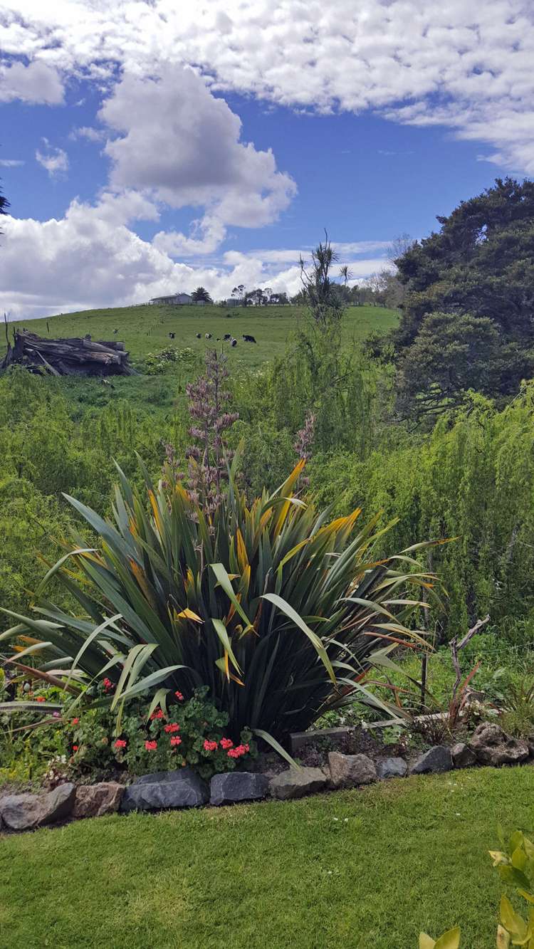 38b Marshall Road Kaiwaka_6