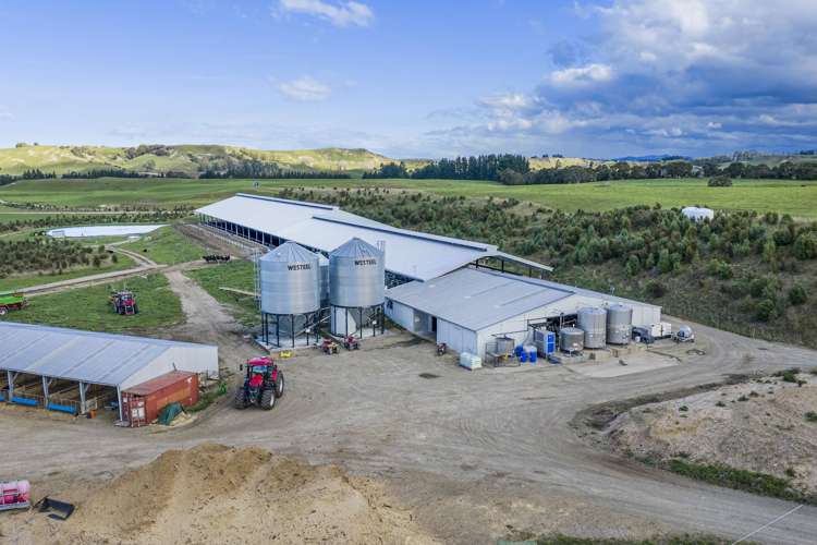 500 Willowford Road Waiwhare_9