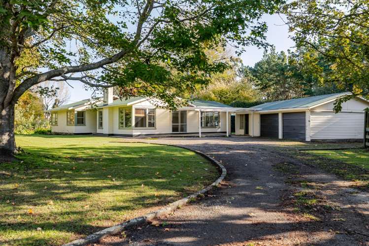 1290 Tangimoana Road_0