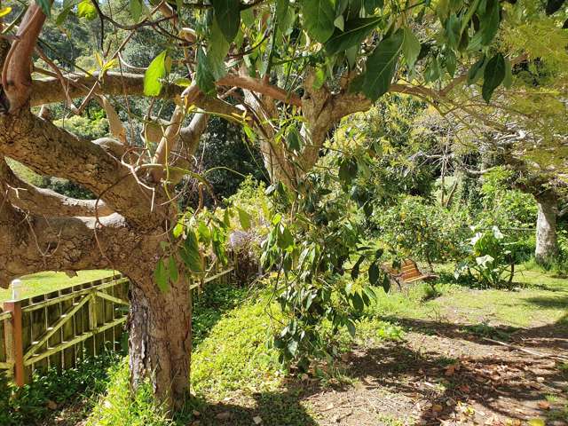 42 Waiomu Valley Road Waiomu_1