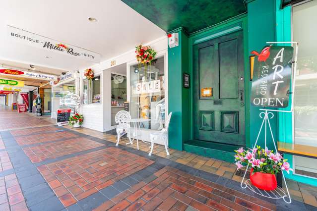 281 Stafford Street Timaru_1