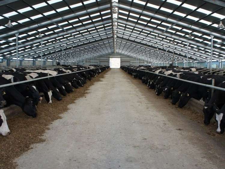 64 Haymans Road Waimate_0