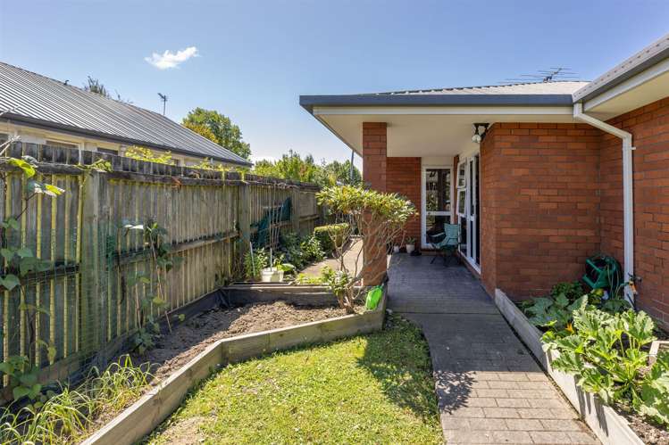 1/11 Rossiter Avenue Redwood_13