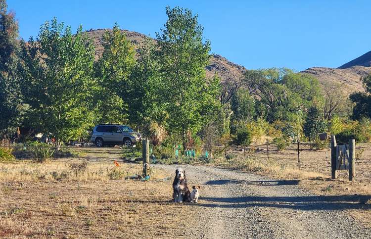 780 Falston Road Twizel_18