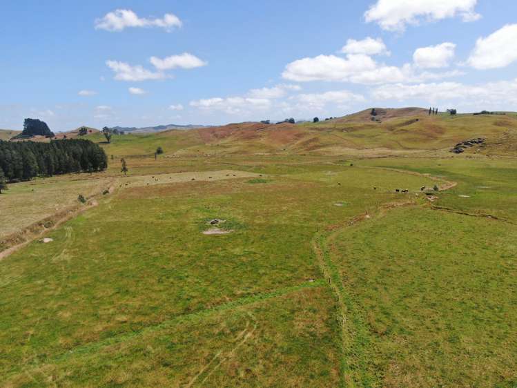 Kahuwera Road Piopio_10