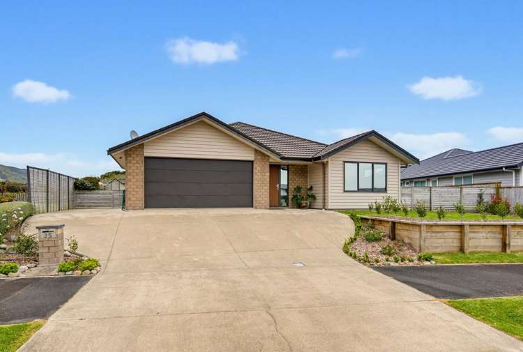 35 Waipunahau Road Waikanae_29