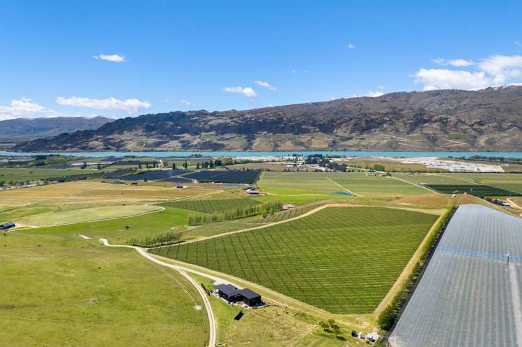 1005 Luggate-Cromwell Road Mount Pisa_31