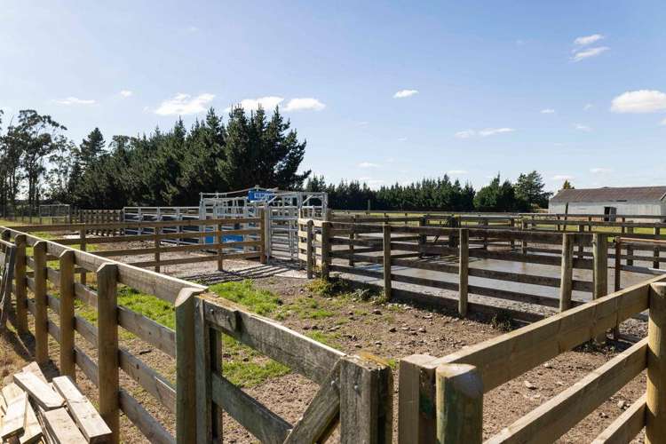 1329 Wards Road Darfield_11